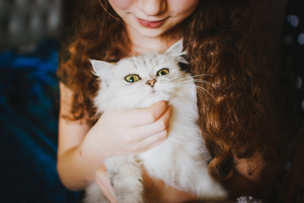 Surprising truth: 9 signs your cat loves you actually
